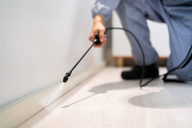 Bed Bug Pre-Treatment Preparation Assessment in Lake Placid