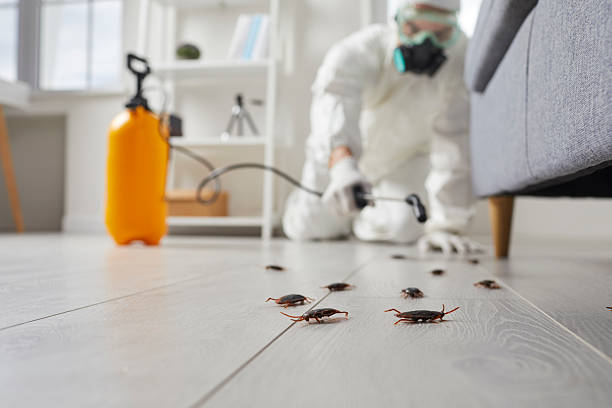 Post-Treatment Bed Bug Interceptor Monitoring in Lake Placid